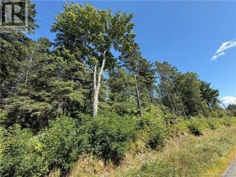 Lot 26-01 Route 105 Upper Queensbury New Brunswick photo 1