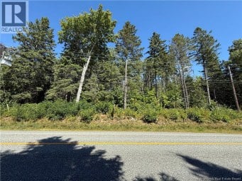 Lot 26-01 Route 105 Upper Queensbury New Brunswick photo 4