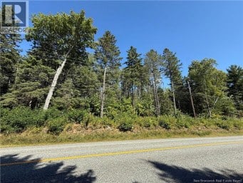 Lot 26-01 Route 105 Upper Queensbury New Brunswick photo 5