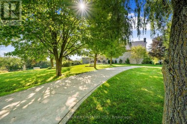 1041 PETHERICK'S ROAD Trent Hills Ontario photo 3