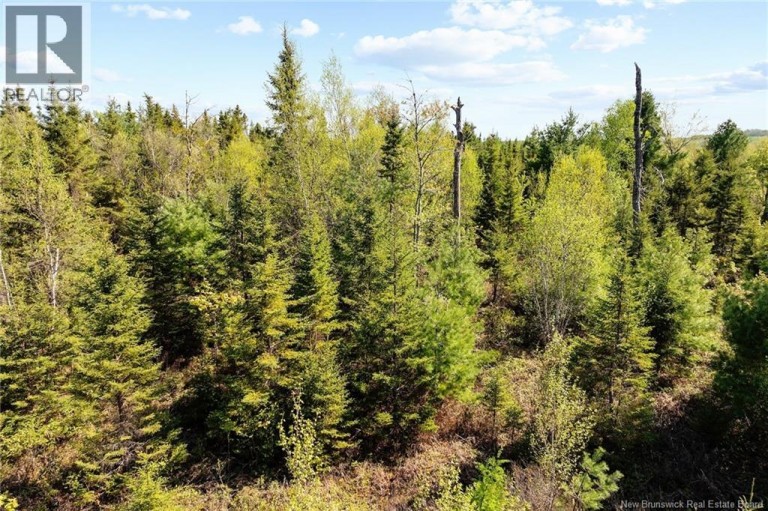 Lot Wegeseum Road, Chipman, New Brunswick, O0O0O0