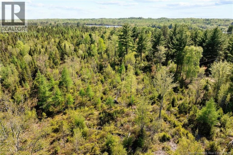 Lot Wegeseum Road, Chipman, New Brunswick, O0O0O0