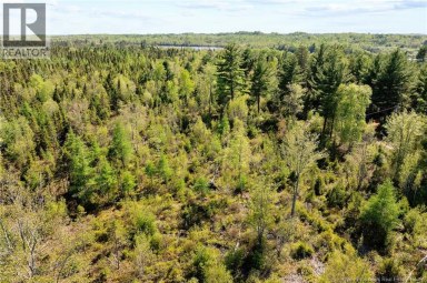Lot Wegeseum Road Chipman New Brunswick photo 7