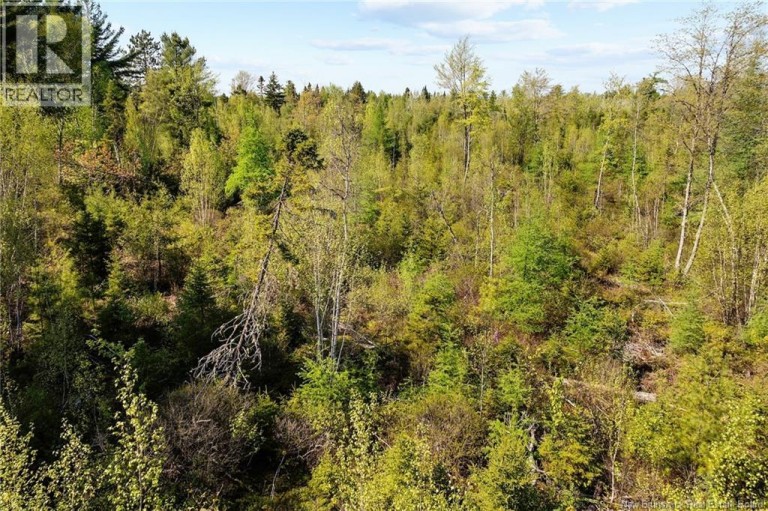 Lot Wegeseum Road, Chipman, New Brunswick, O0O0O0