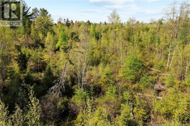 Lot Wegeseum Road Chipman New Brunswick photo 8