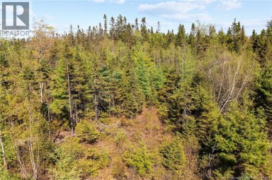 Lot Wegeseum Road Chipman New Brunswick photo 9