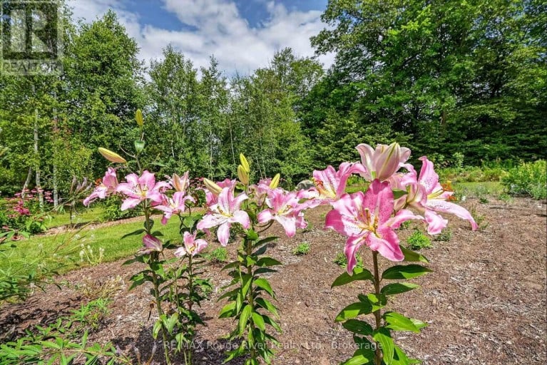 9285 TURK ROAD, Hamilton Township, Ontario, K0K1C0
