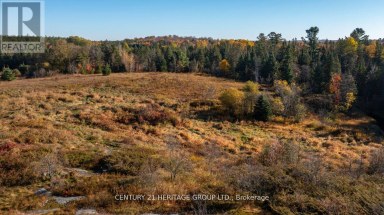 0 FARLEYS ROAD Whitestone (Dunchurch) Ontario photo 4