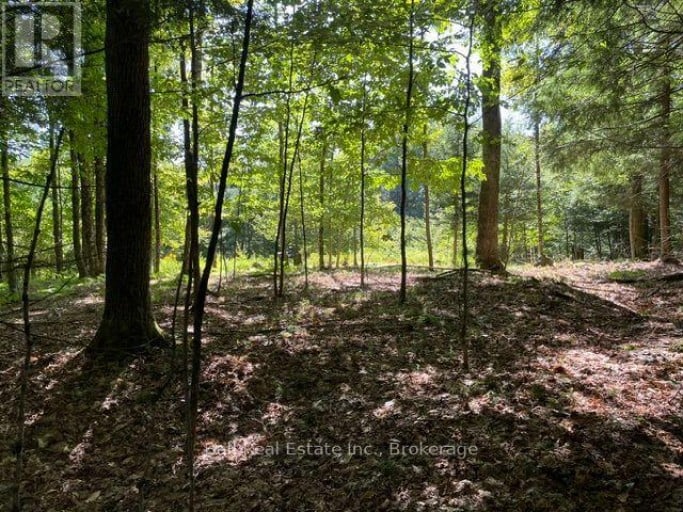 PT LT 15 CON 13 ALTON ROAD, Minden Hills (Snowdon), Ontario, K0M2K0