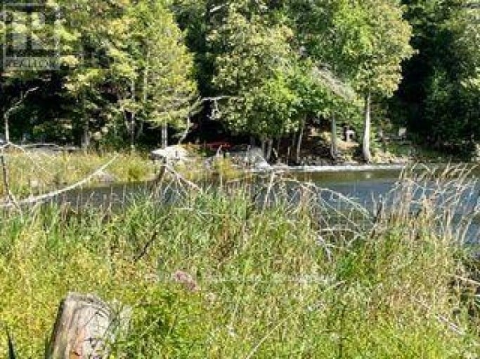 PT LT 15 CON 13 ALTON ROAD, Minden Hills (Snowdon), Ontario, K0M2K0
