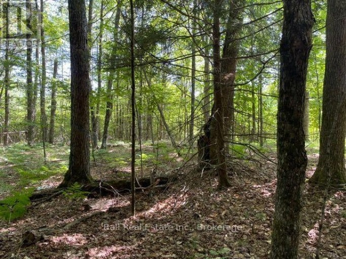 PT LT 15 CON 13 ALTON ROAD, Minden Hills (Snowdon), Ontario, K0M2K0