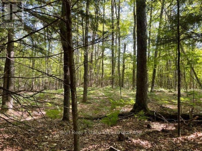 PT LT 15 CON 13 ALTON ROAD, Minden Hills (Snowdon), Ontario, K0M2K0