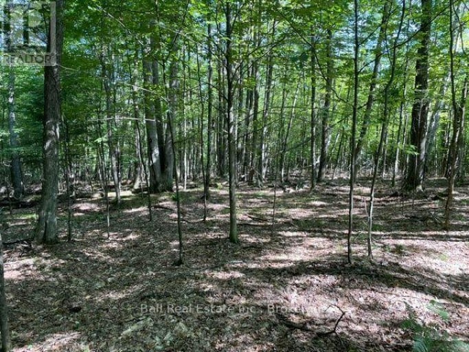 PT LT 15 CON 13 ALTON ROAD, Minden Hills (Snowdon), Ontario, K0M2K0