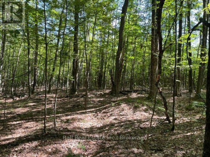 PT LT 15 CON 13 ALTON ROAD, Minden Hills (Snowdon), Ontario, K0M2K0