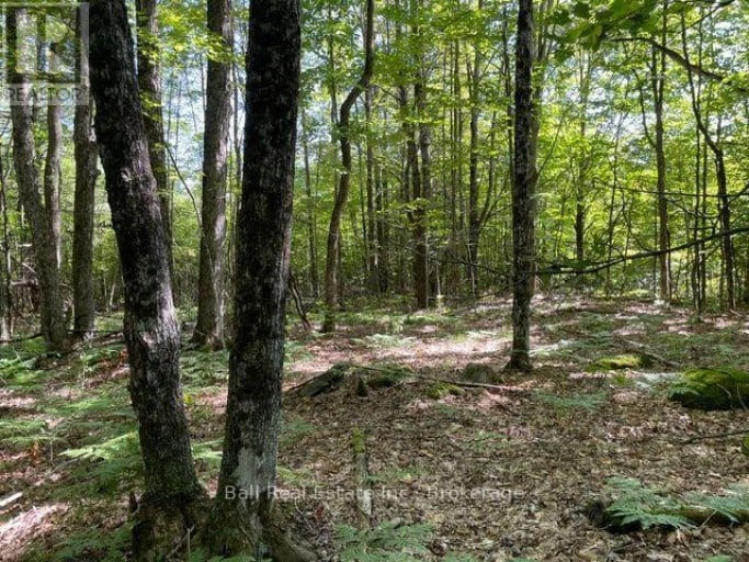 PT LT 15 CON 13 ALTON ROAD, Minden Hills (Snowdon), Ontario, K0M2K0