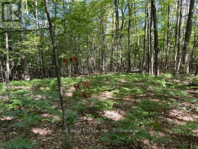 PT LT 15 CON 13 ALTON ROAD, Minden Hills (Snowdon), Ontario, K0M2K0