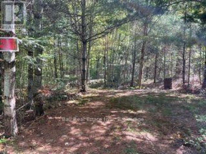 PT LT 15 CON 13 ALTON ROAD, Minden Hills (Snowdon), Ontario, K0M2K0