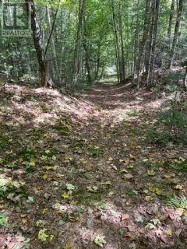 PT LT 15 CON 13 ALTON ROAD, Minden Hills (Snowdon), Ontario, K0M2K0