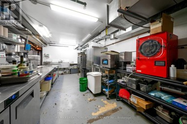 162 DANFORTH AVENUE Toronto (North Riverdale) Ontario photo 28