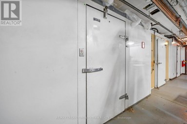 162 DANFORTH AVENUE Toronto (North Riverdale) Ontario photo 30