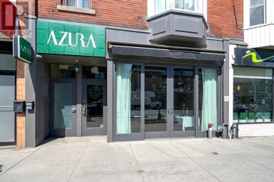 162 DANFORTH AVENUE Toronto (North Riverdale) Ontario photo 46