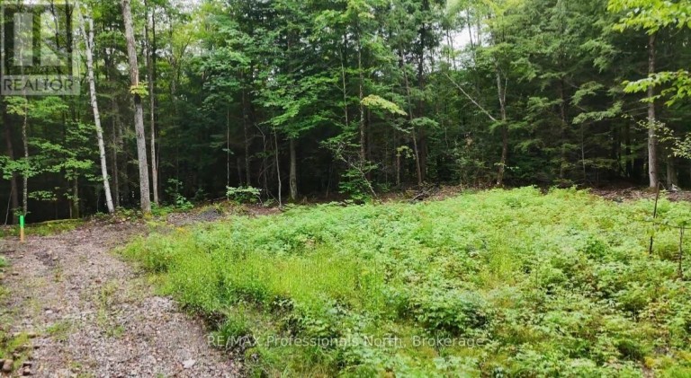 1211 HAWK VALLEY ROAD, Algonquin Highlands (Stanhope), Ontario, K0M1J2