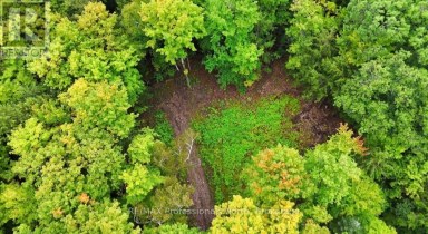 1211 HAWK VALLEY ROAD Algonquin Highlands (Stanhope) Ontario photo 12