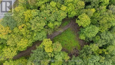 1211 HAWK VALLEY ROAD Algonquin Highlands (Stanhope) Ontario photo 2