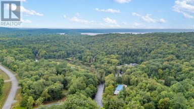 1211 HAWK VALLEY ROAD Algonquin Highlands (Stanhope) Ontario photo 5