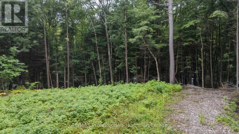 1211 HAWK VALLEY ROAD, Algonquin Highlands (Stanhope), Ontario, K0M1J2