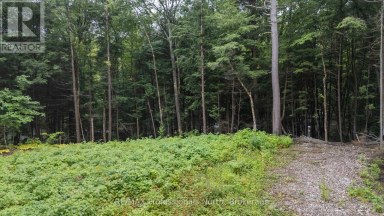 1211 HAWK VALLEY ROAD Algonquin Highlands (Stanhope) Ontario photo 6