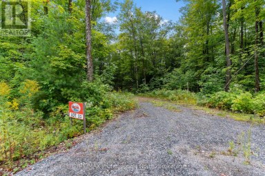 1211 HAWK VALLEY ROAD Algonquin Highlands (Stanhope) Ontario photo 7