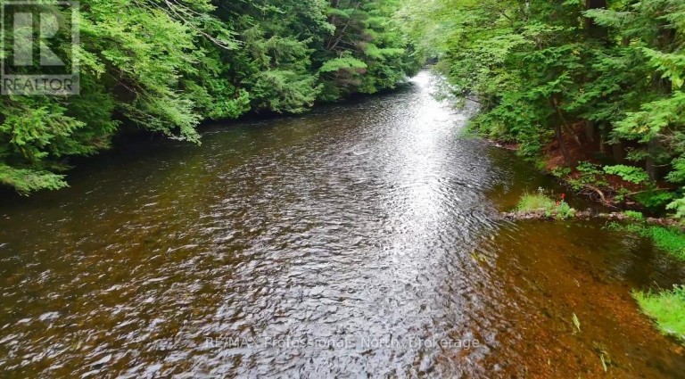 1211 HAWK VALLEY ROAD, Algonquin Highlands (Stanhope), Ontario, K0M1J2
