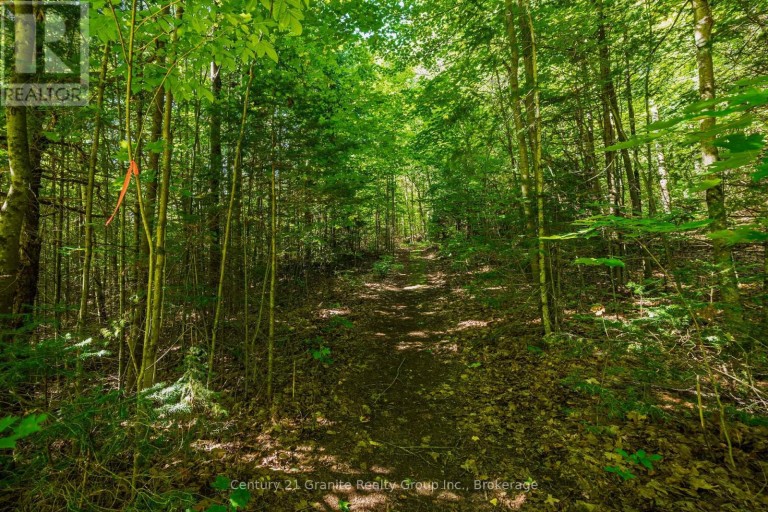 0 IRONDALE ROAD, Highlands East (Glamorgan), Ontario, K0M1R0