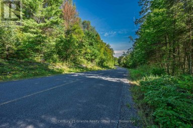 0 IRONDALE ROAD Highlands East (Glamorgan) Ontario photo 15