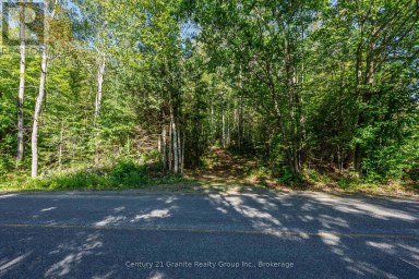 0 IRONDALE ROAD Highlands East (Glamorgan) Ontario photo 2