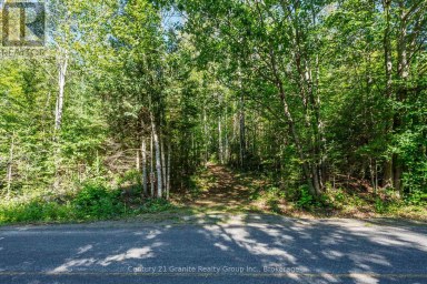 0 IRONDALE ROAD Highlands East (Glamorgan) Ontario photo 3