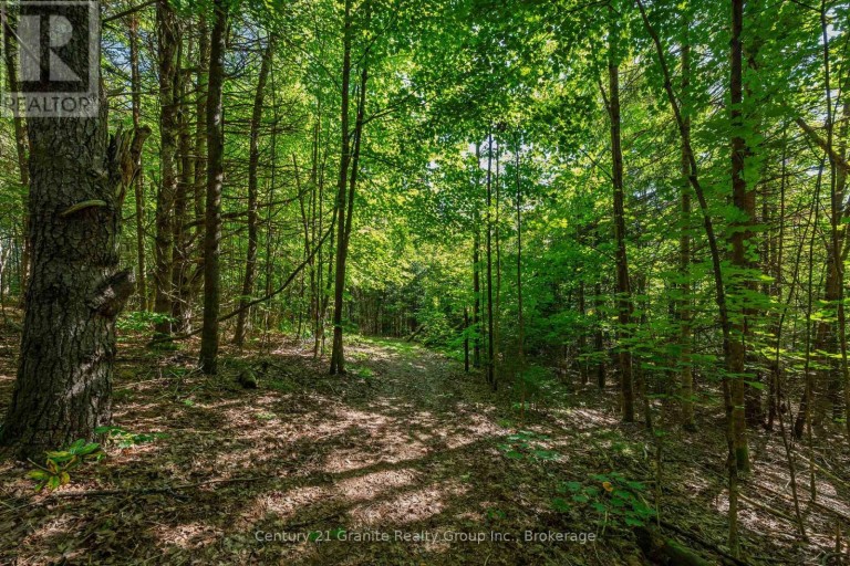 0 IRONDALE ROAD, Highlands East (Glamorgan), Ontario, K0M1R0