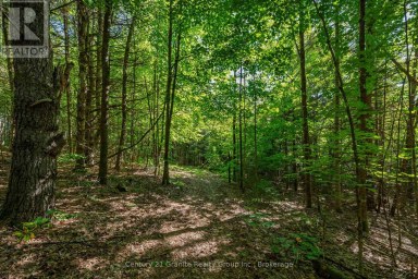 0 IRONDALE ROAD Highlands East (Glamorgan) Ontario photo 5