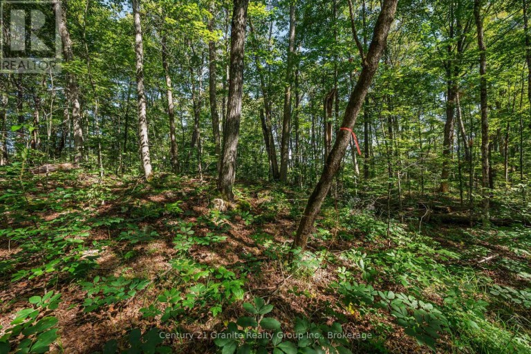 0 IRONDALE ROAD, Highlands East (Glamorgan), Ontario, K0M1R0