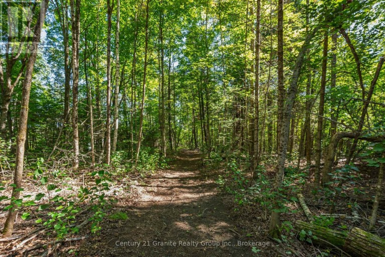 0 IRONDALE ROAD, Highlands East (Glamorgan), Ontario, K0M1R0