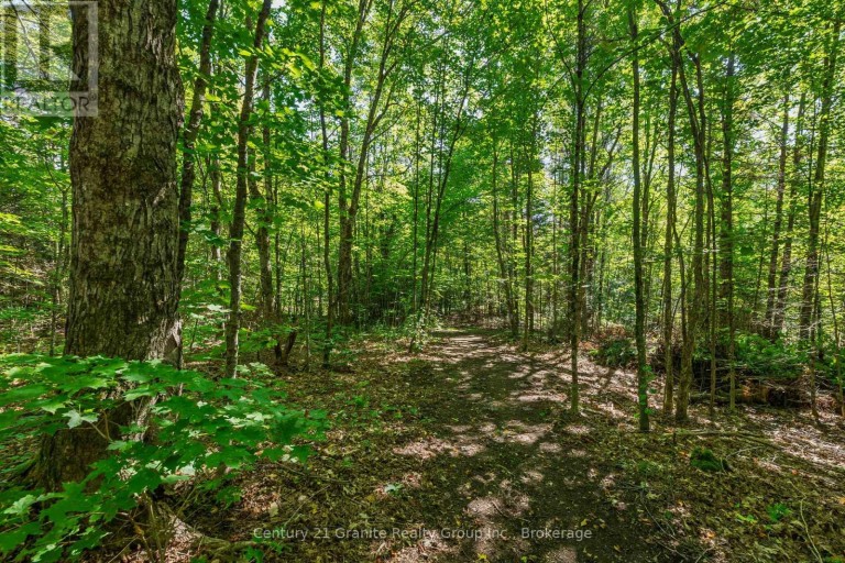 0 IRONDALE ROAD, Highlands East (Glamorgan), Ontario, K0M1R0