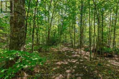 0 IRONDALE ROAD Highlands East (Glamorgan) Ontario photo 9