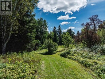 1961 IRONDALE ROAD Highlands East (Glamorgan) Ontario photo 10