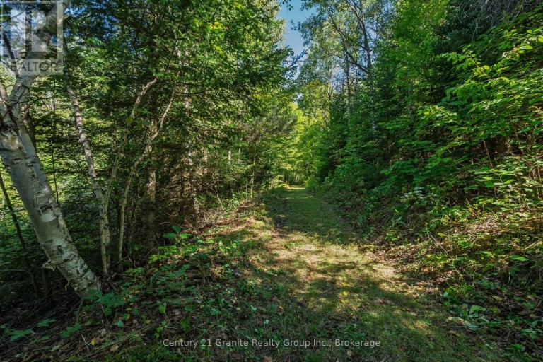 1961 IRONDALE ROAD, Highlands East (Glamorgan), Ontario, K0M1R0