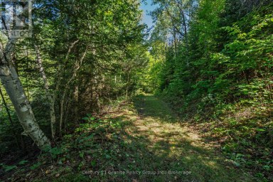 1961 IRONDALE ROAD Highlands East (Glamorgan) Ontario photo 14