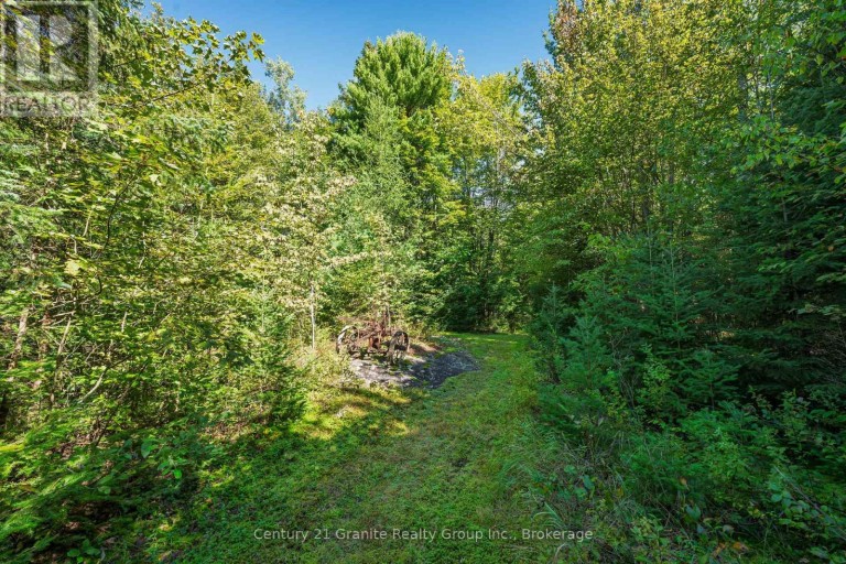 1961 IRONDALE ROAD, Highlands East (Glamorgan), Ontario, K0M1R0