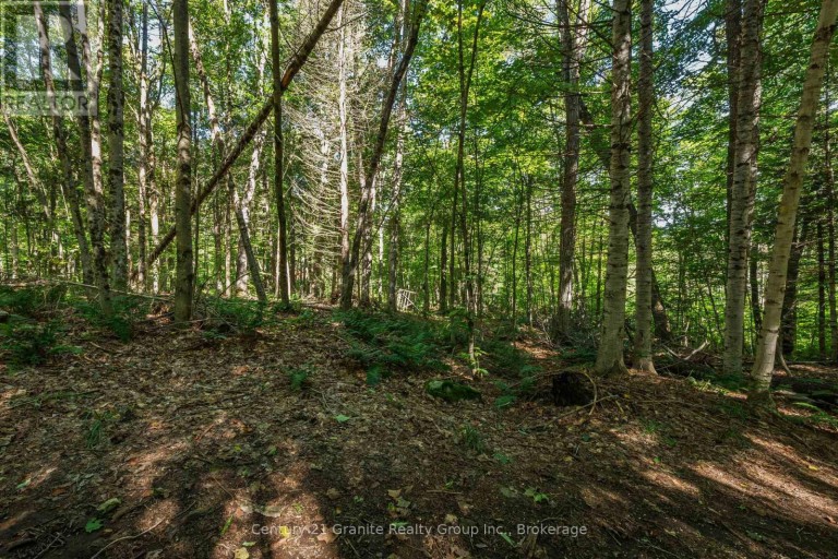 1961 IRONDALE ROAD, Highlands East (Glamorgan), Ontario, K0M1R0