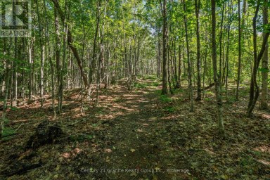 1961 IRONDALE ROAD Highlands East (Glamorgan) Ontario photo 22