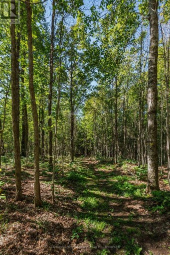 1961 IRONDALE ROAD, Highlands East (Glamorgan), Ontario, K0M1R0